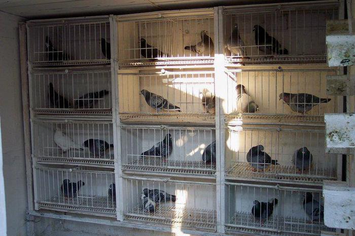 293230_355031264577432_1353222047_n