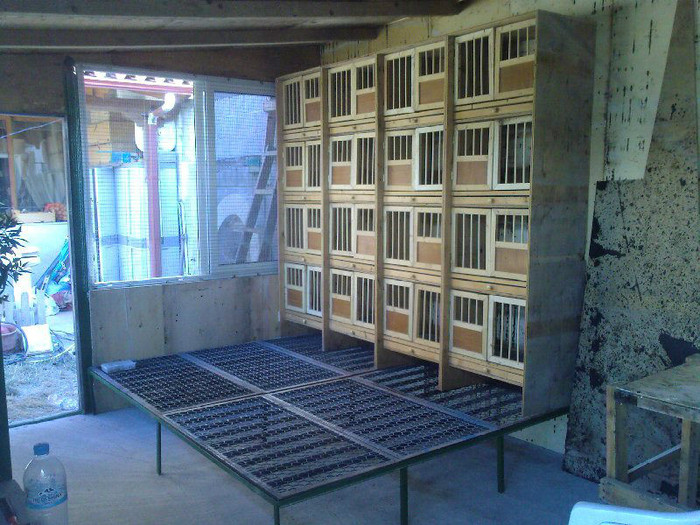 386978_265237110258584_131387978_n