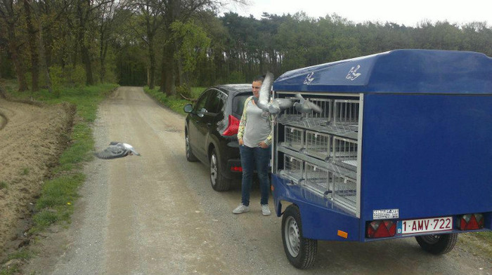 522790_310876868992872_1392808728_n