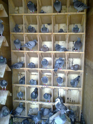 526350_272293656219596_902344753_n