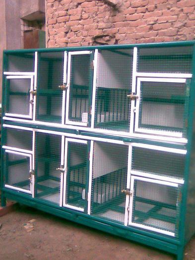 548251_340425969371295_22519992_n