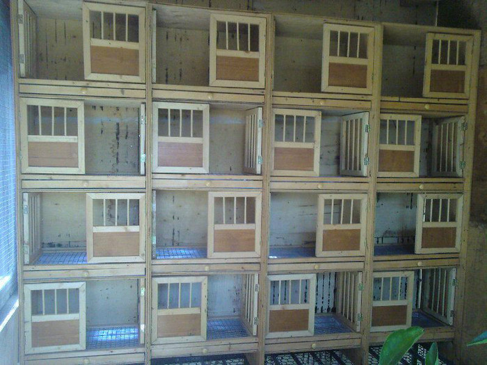 552626_265237313591897_589055220_n