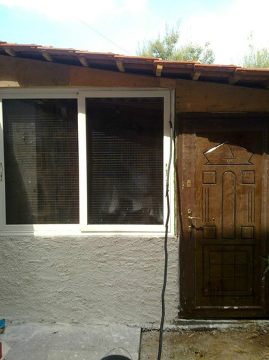 562785_272293042886324_1915605947_n