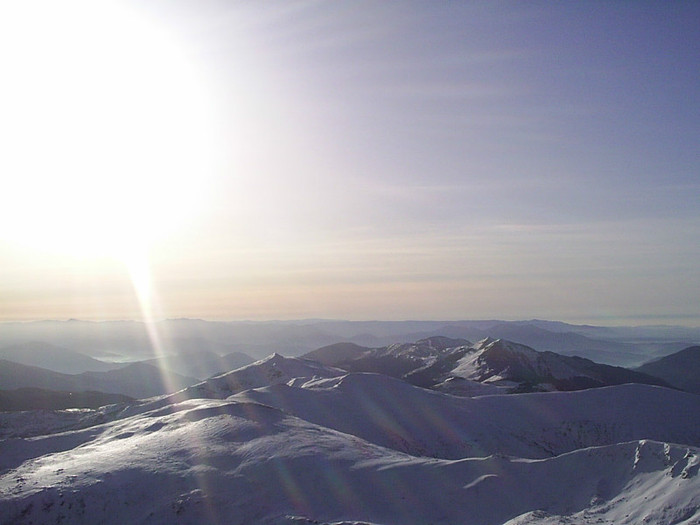 M-tii Ineul -altitudine 2279 m (11)