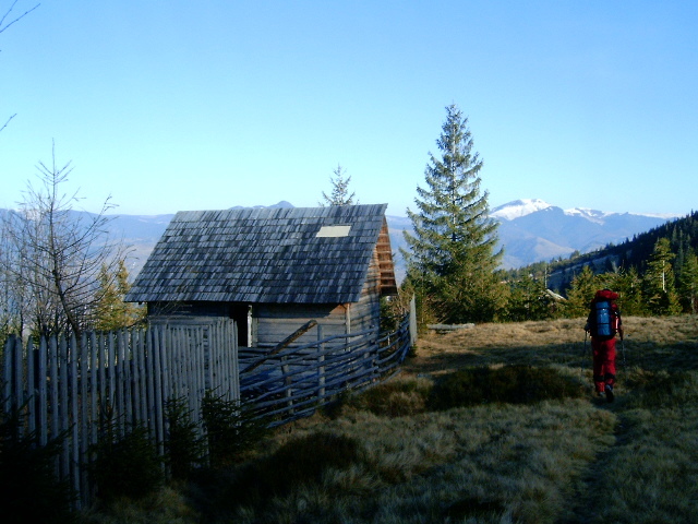 Vf.Pietrosu 2303m. (66)