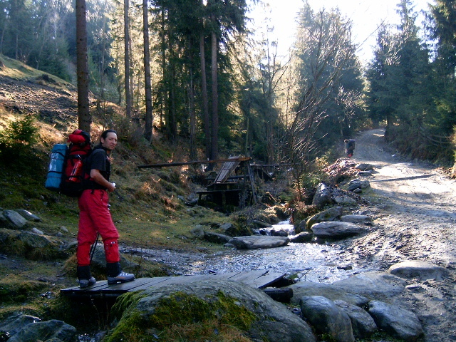 Vf.Pietrosul altitudine 2303 m (116)