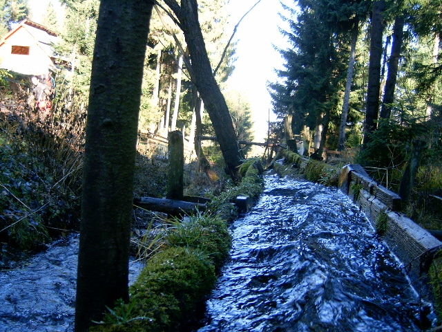 Vf.Pietrosul altitudine 2303 m (118)