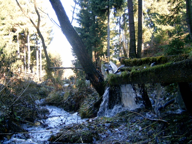 Vf.Pietrosul altitudine 2303 m (119)