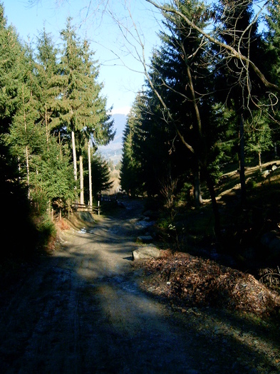 Vf.Pietrosul altitudine 2303 m (120)