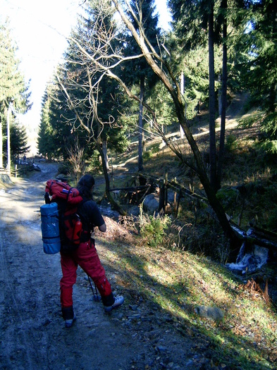 Vf.Pietrosul altitudine 2303 m (121) - S______  MUNTELE PIETROSUL