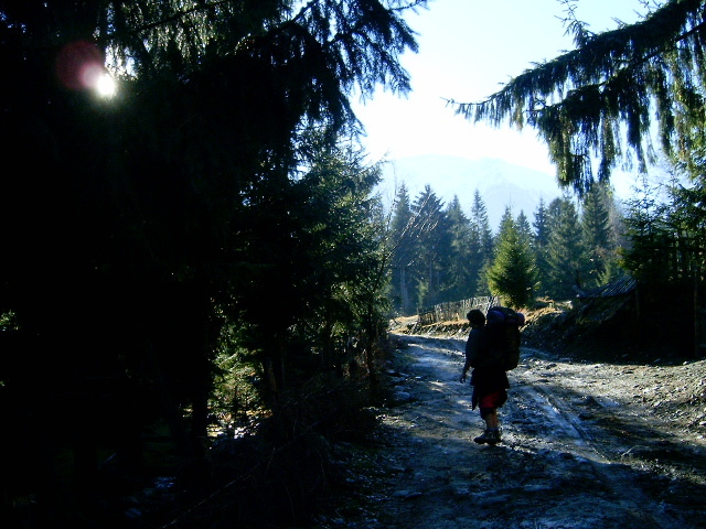 Vf.Pietrosul altitudine 2303 m (122)