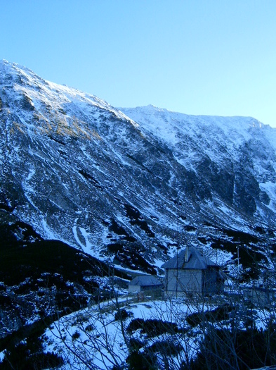 Vf.Pietrosul altitudine 2303 m (131)