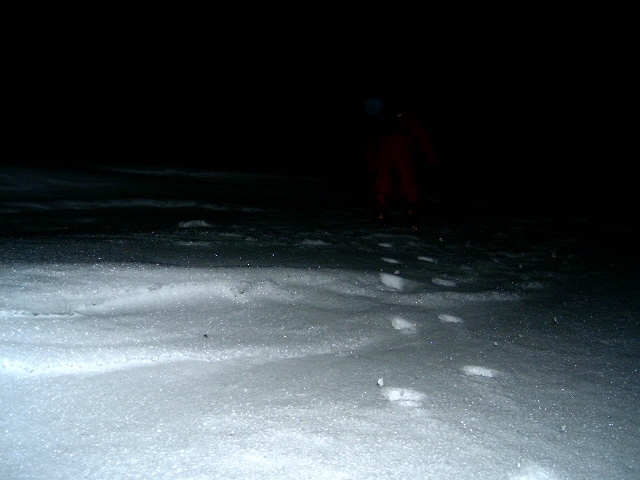 Vf.Pietrosul altitudine 2303 m (137)