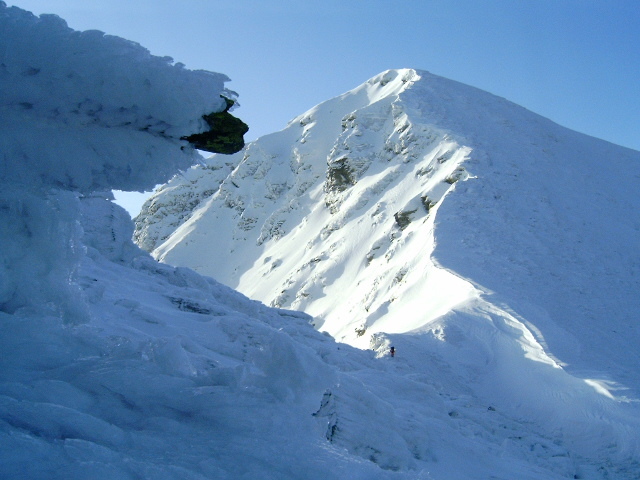 Vf.Pietrosul altitudine 2303 m (172)