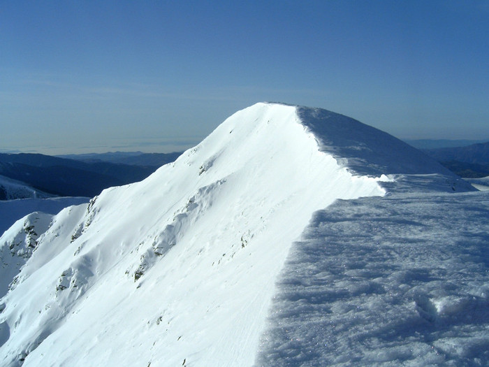 Vf.Pietrosul altitudine 2303 m (181) - S______  MUNTELE PIETROSUL