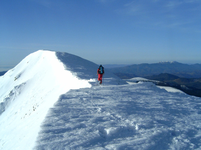 Vf.Pietrosul altitudine 2303 m (183)