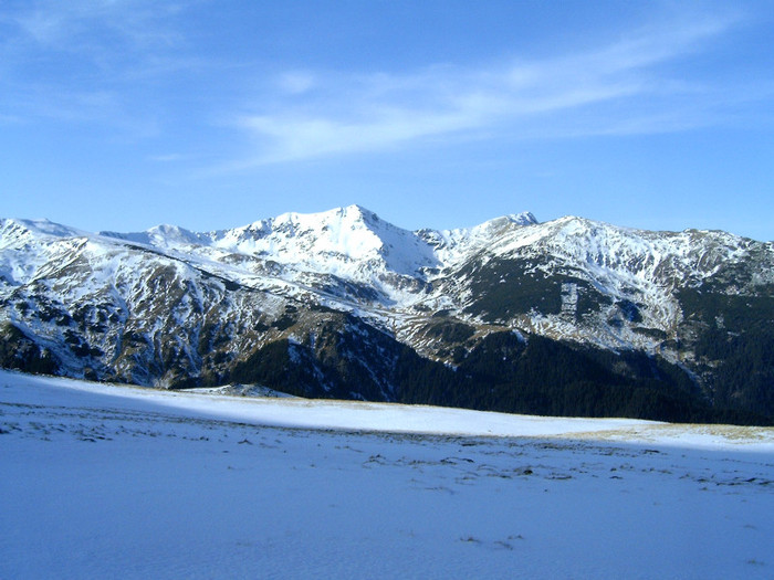 Vf.Pietrosul altitudine 2303 m (185) - S______  MUNTELE PIETROSUL
