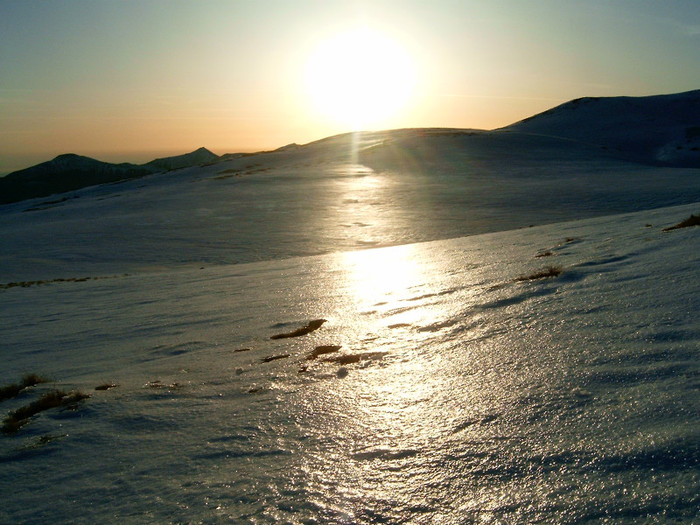 Vf.Pietrosul altitudine 2303 m (195)