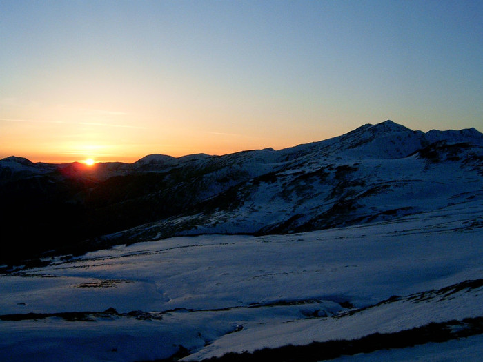 Vf.Pietrosul altitudine 2303 m (202) - S______  MUNTELE PIETROSUL