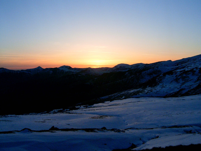 Vf.Pietrosul altitudine 2303 m (204) - S______  MUNTELE PIETROSUL