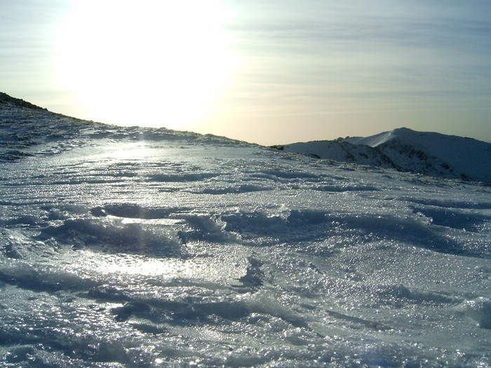 Vf.Pietrosul altitudine 2303 m (209)