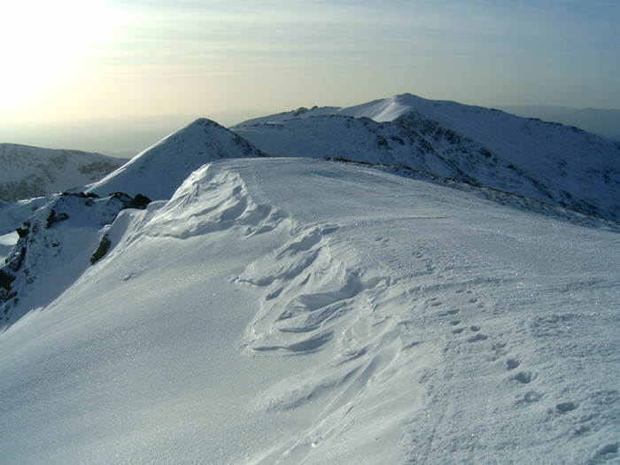 Vf.Pietrosul altitudine 2303 m (212)