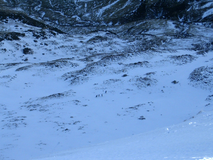 Vf.Pietrosul altitudine 2303 m (214)