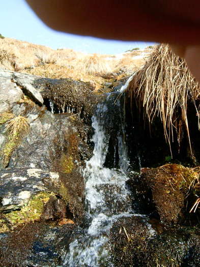 Vf.Pietrosul altitudine 2303 m (220)