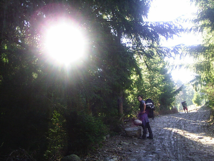 Vf.Pietrosul altitudine 2303 m (224)