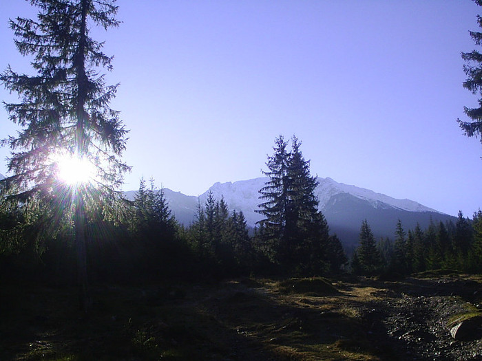 Vf.Pietrosul altitudine 2303 m (225)