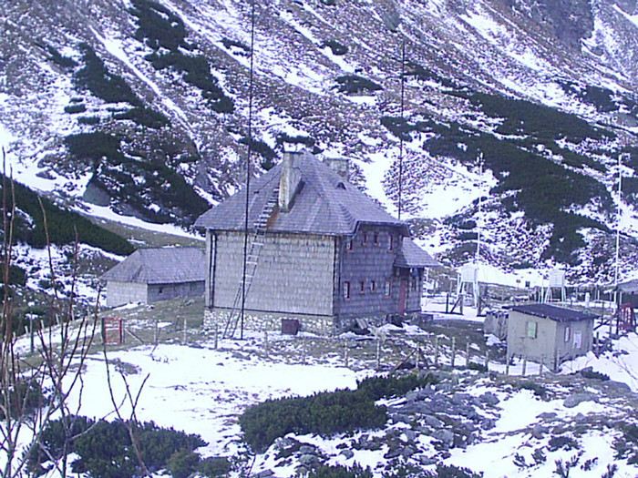 Vf.Pietrosul altitudine 2303 m (226)