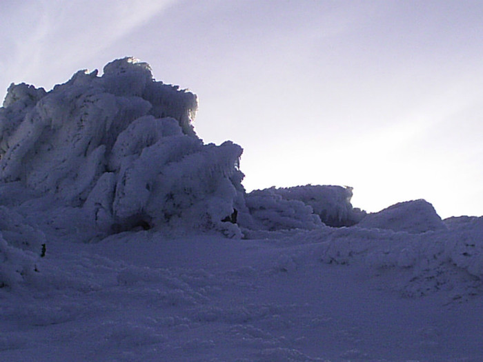 Vf.Pietrosul altitudine 2303 m (229)