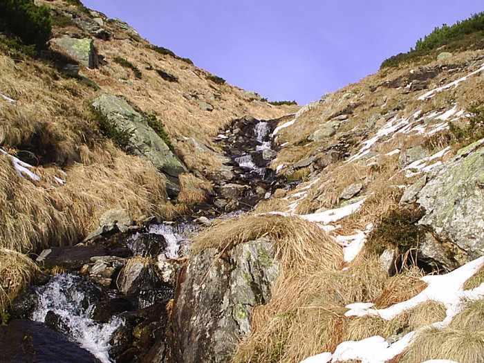 Vf.Pietrosul altitudine 2303 m (231)