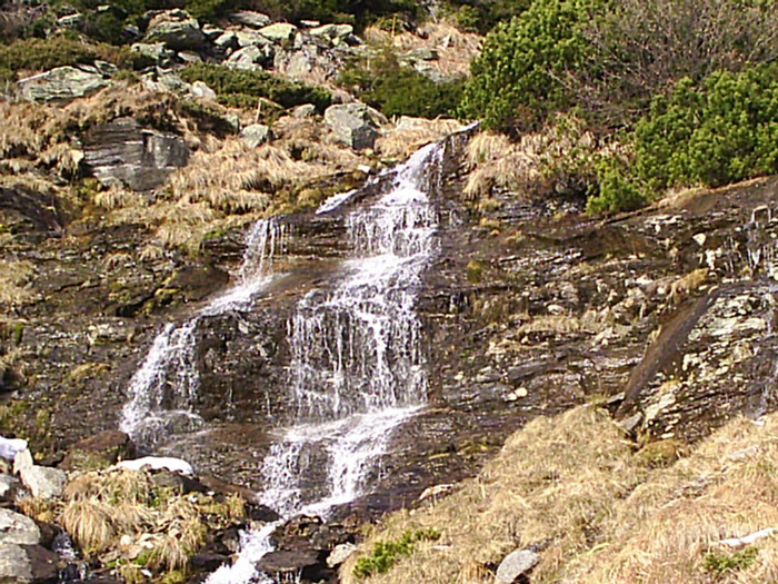 Vf.Pietrosul altitudine 2303 m (232)