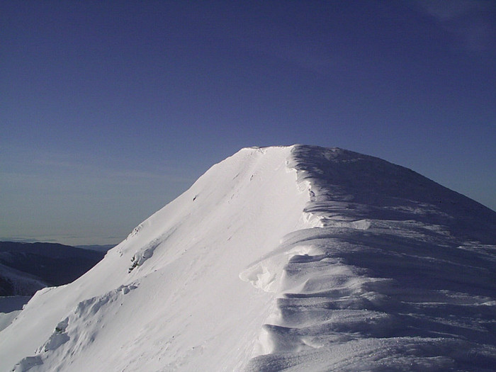 Vf.Pietrosul altitudine 2303 m (235)