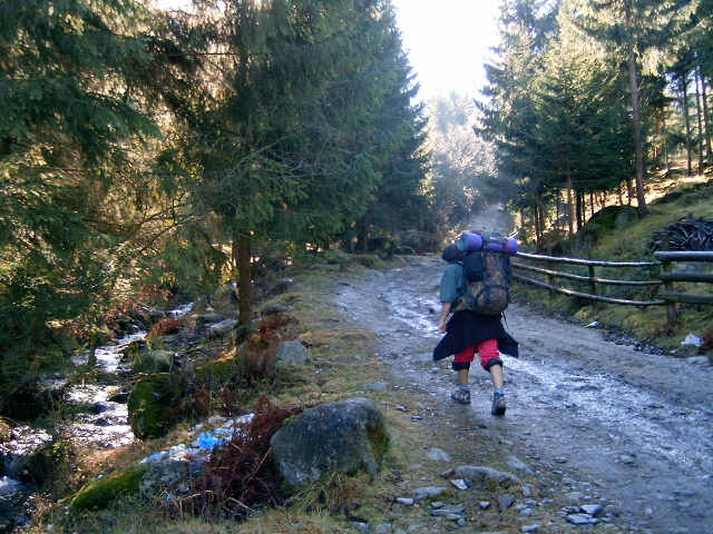 Vf.Pietrosul altitudine 2303 m (245)