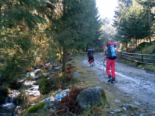 Vf.Pietrosul altitudine 2303 m (246)