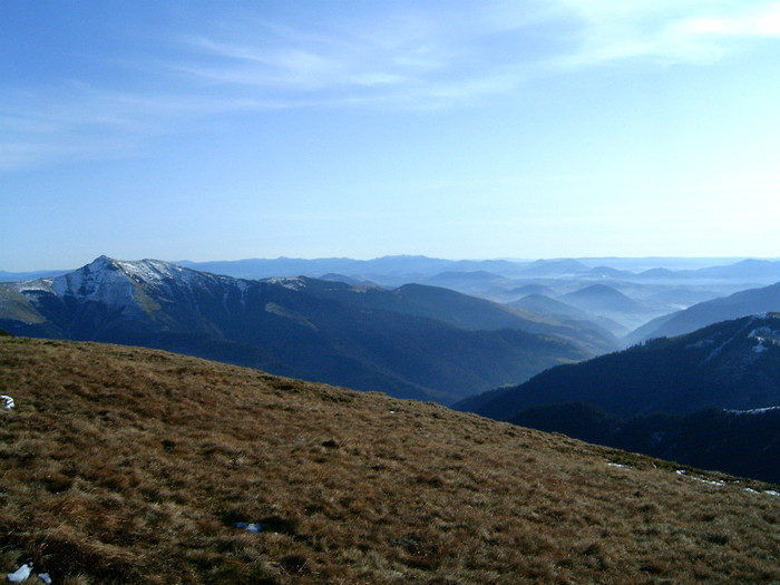 Vf.Pietrosul altitudine 2303 m (247)