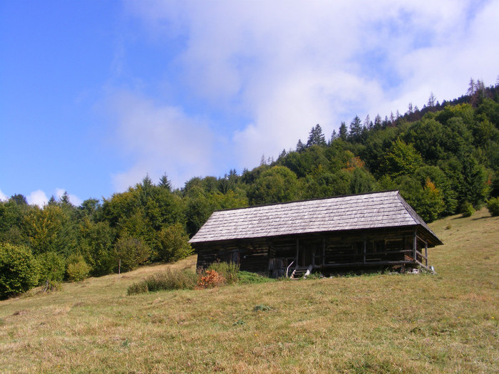 Picture 212 - X_____   POZE DIN COMUNA