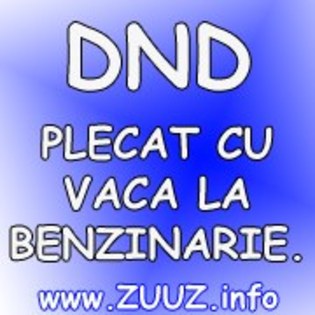 dnd%20plecat%20cu%20vaca%20la%20benzinarie - avatare