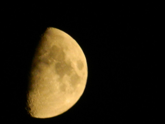 DSCN8737