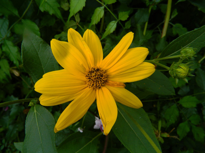 DSCN8788