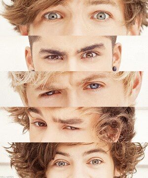 185093_397734070292202_797782150_n - 0-eyes one direction