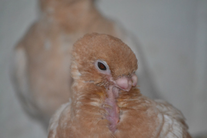 2012 310