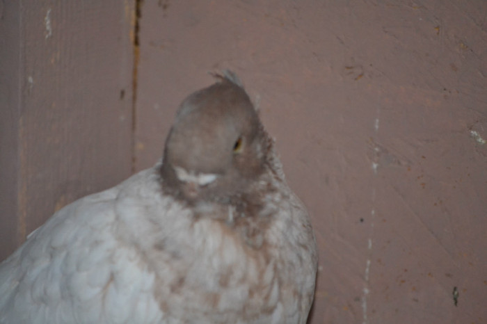 2012 329