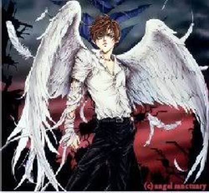 Angel-sanctuary-angel-anime-angel-p - poze cu ingeri