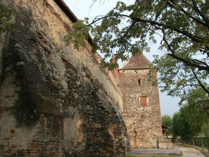 Picture 197 - Biserica fortificata Cristian-Sibiu