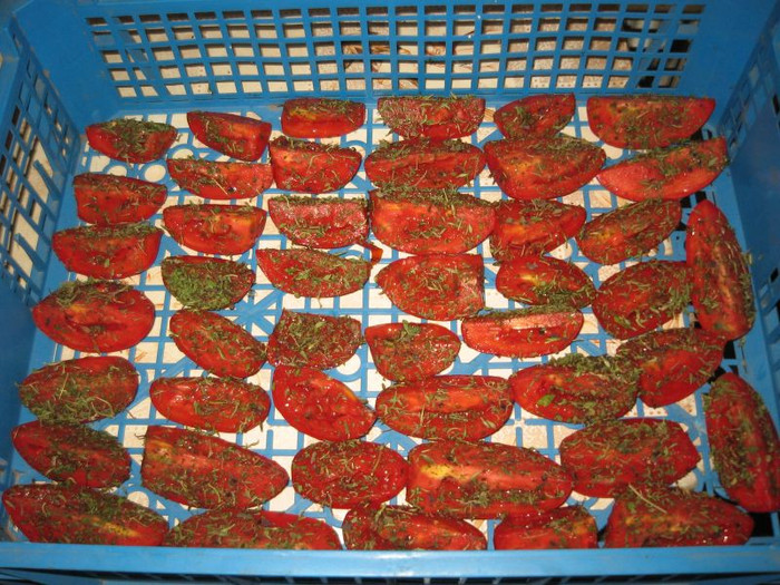 Rosii uscate,august 2012; le-am asezat in ladite la uscat,au fost trei zile de peste 40 grade
