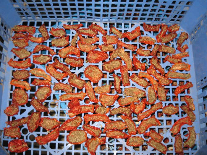 Rosii uscate,august 2012; din 4 ladite cu rosii crude, au ramas 2 cu rosii uscate
