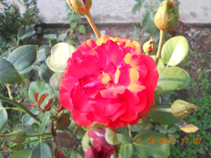 DSCN1892
